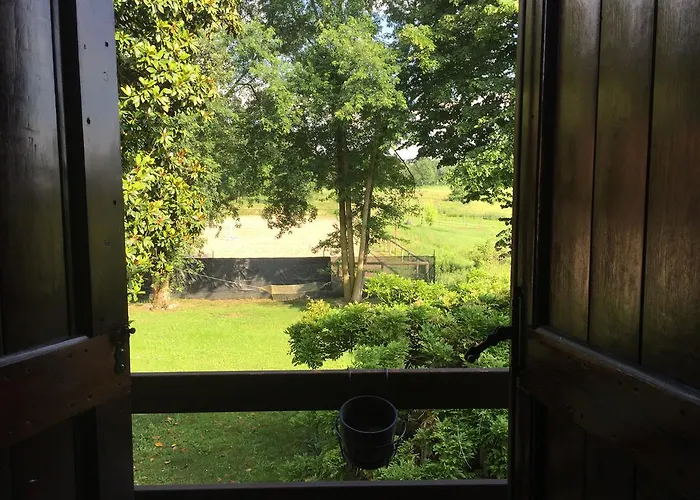 Cascina Paradiso Robecchetto con Induno